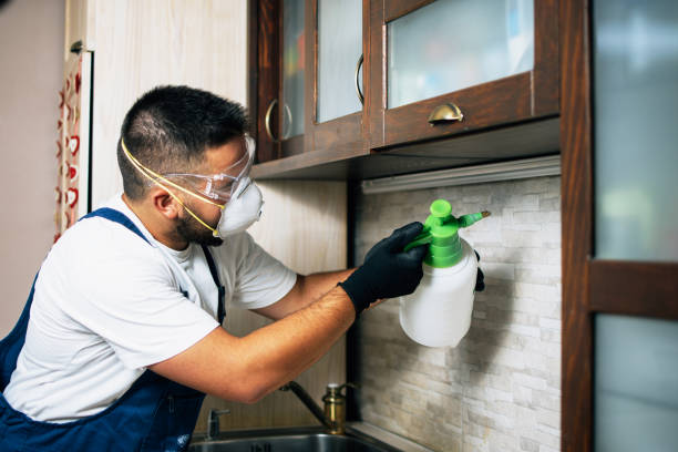Best Pest Inspection Near Me  in Merrydale, LA