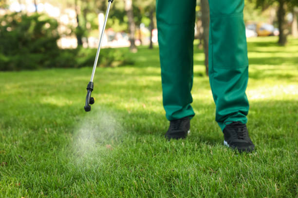 Best Best Pest Control Companies  in Merrydale, LA