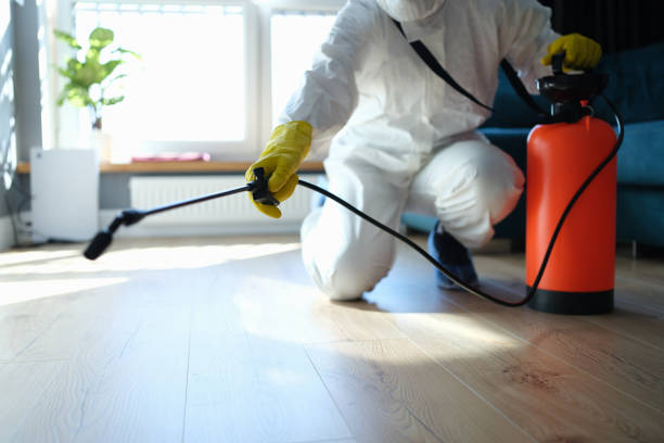 Best Affordable Pest Control Services  in Merrydale, LA