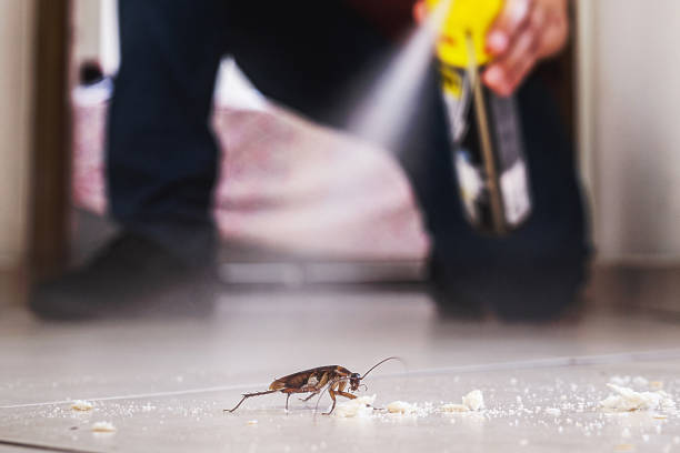 Best Wasp Removal Services  in Merrydale, LA