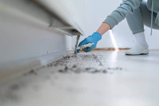 Best Rodent Control Near Me  in Merrydale, LA