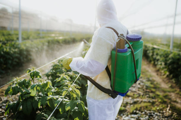 Best Insect Control  in Merrydale, LA